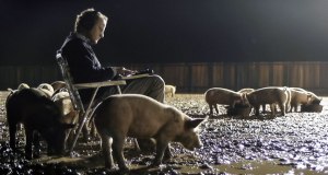The accoustic 'sweet spot' of a pig farm. Courtesy nybooks.com